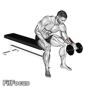 Dumbbell One Arm Reverse Wrist Curl GIF