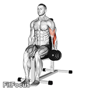 Dumbbell One Arm Seated Hammer Curl GIF