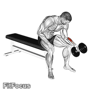 Dumbbell One Arm Seated Neutral Wrist Curl GIF