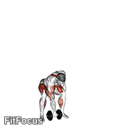 Dumbbell One Arm Snatch GIF