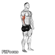 Dumbbell One Arm Standing Curl GIF