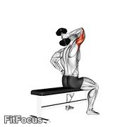 Dumbbell One Arm Triceps Extension (on Bench) GIF