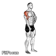 Dumbbell One Arm Upright Row GIF