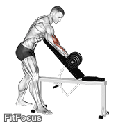 Dumbbell One Arm Zottman Preacher Curl GIF