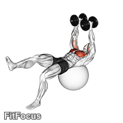 Dumbbell One Leg Fly On Exercise Ball GIF