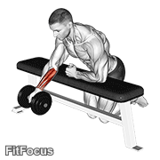 Dumbbell Over Bench One Arm Reverse Wrist Curl GIF