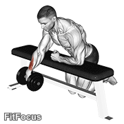 Dumbbell Over Bench One Arm Wrist Curl GIF