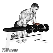 Dumbbell Over Bench Revers Wrist Curl GIF