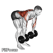 Dumbbell Palm Rotational Bent Over Row GIF