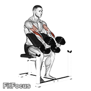 Dumbbell Peacher Hammer Curl GIF