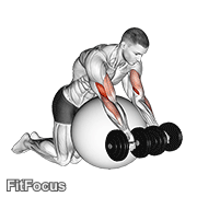Dumbbell Preacher Curl Over Exercise Ball GIF
