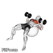 Dumbbell Press On Exercise Ball GIF