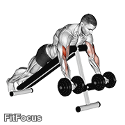 Dumbbell Prone Incline Curl (prone dumbbell incline curl) GIF — animated arms exercise demonstration