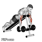 Dumbbell Prone Incline Hammer Curl GIF