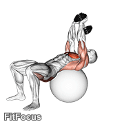 Dumbbell Pullover Hip Extension On Exercise Ball GIF