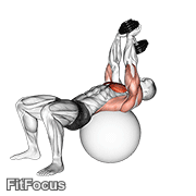 Dumbbell Pullover On Exercise Ball GIF
