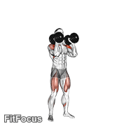 Dumbbell Push Press GIF