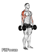Dumbbell Raise GIF — animated shoulders exercise demonstration