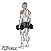 Dumbbell Rear Delt Raise GIF