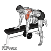 Dumbbell Rear Delt Row_shoulder GIF