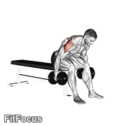 Dumbbell Rear Fly GIF