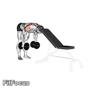 Dumbbell Rear Lateral Raise (support Head) GIF