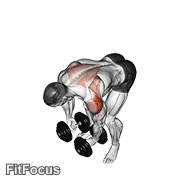 Dumbbell Rear Lateral Raise GIF