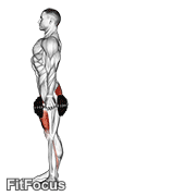 Dumbbell Rear Lunge GIF