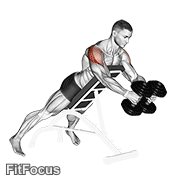 Dumbbell Reverse Fly GIF — animated shoulders exercise demonstration