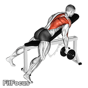 Dumbbell Reverse Grip Incline Bench One Arm Row GIF