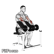 Dumbbell Reverse Preacher Curl GIF
