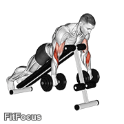 Dumbbell Reverse Spider Curl GIF