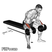Dumbbell Reverse Wrist Curl GIF
