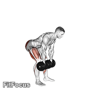 Dumbbell Romanian Deadlift GIF
