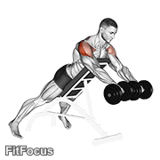 Dumbbell Rotation Reverse Fly