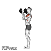 Dumbbell Scott Press GIF