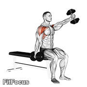 Dumbbell Seated Alternate Front Raise GIF