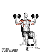 Dumbbell Seated Alternate Shoulder GIF