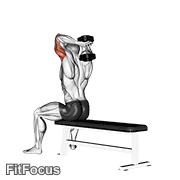Dumbbell Seated Bench Extension GIF