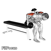 Dumbbell Seated Bent Over Alternate Kickback GIF