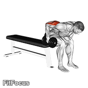 Dumbbell Seated Bent Over Triceps Extension GIF