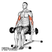 Dumbbell Seated Bicep Curl GIF