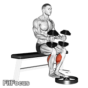 Dumbbell Seated Calf Raise GIF