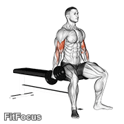 Dumbbell Seated Curl GIF