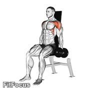 Dumbbell Seated Front Raise