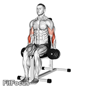 Dumbbell Seated Hammer Curl GIF