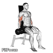 Dumbbell Seated Inner Biceps Curl GIF