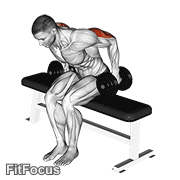 Dumbbell Seated Kickback GIF