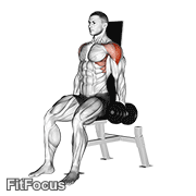 Dumbbell Seated Lateral Raise V. 2 GIF