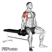 Dumbbell Seated Lateral Raise